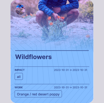 Wildflowers