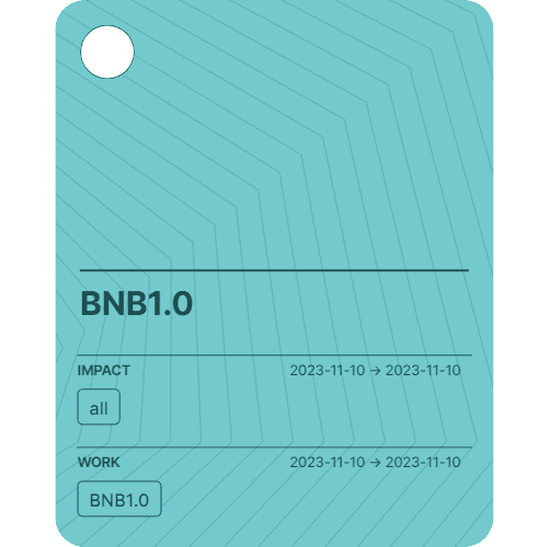 BNB1.0