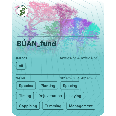 BÚAN_fund 