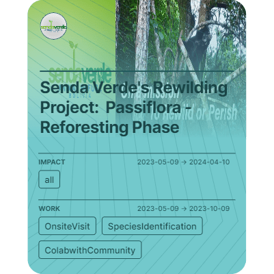 Senda Verde's Rewilding Project:  Passiflora - Reforesting Phase