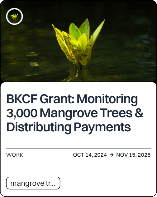 BKCF Grant: Monitoring 3,000 Mangrove Trees & Distributing Payments