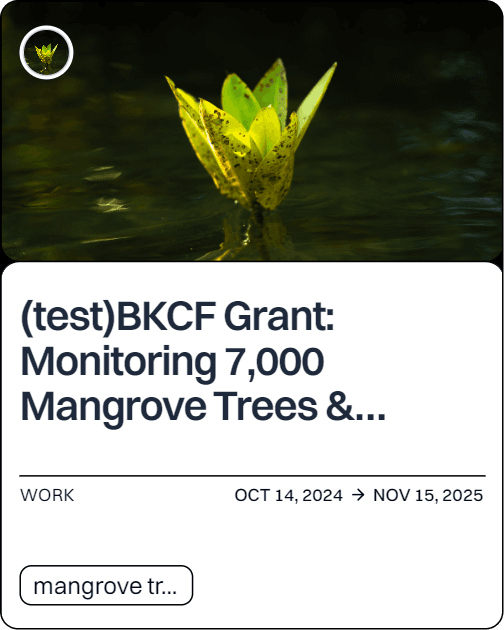 (test)BKCF Grant: Monitoring 7,000 Mangrove Trees & Distributing Payments